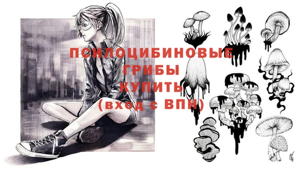 apvp Заводоуковск