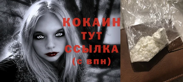 молекула духа Инта