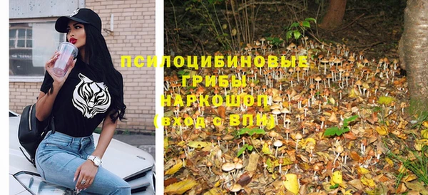 амф Заволжье