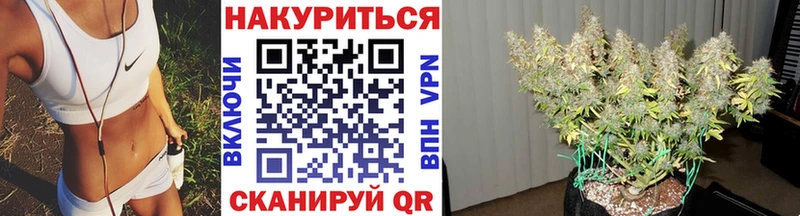 Марихуана гибрид  где продают наркотики  Красный Кут 